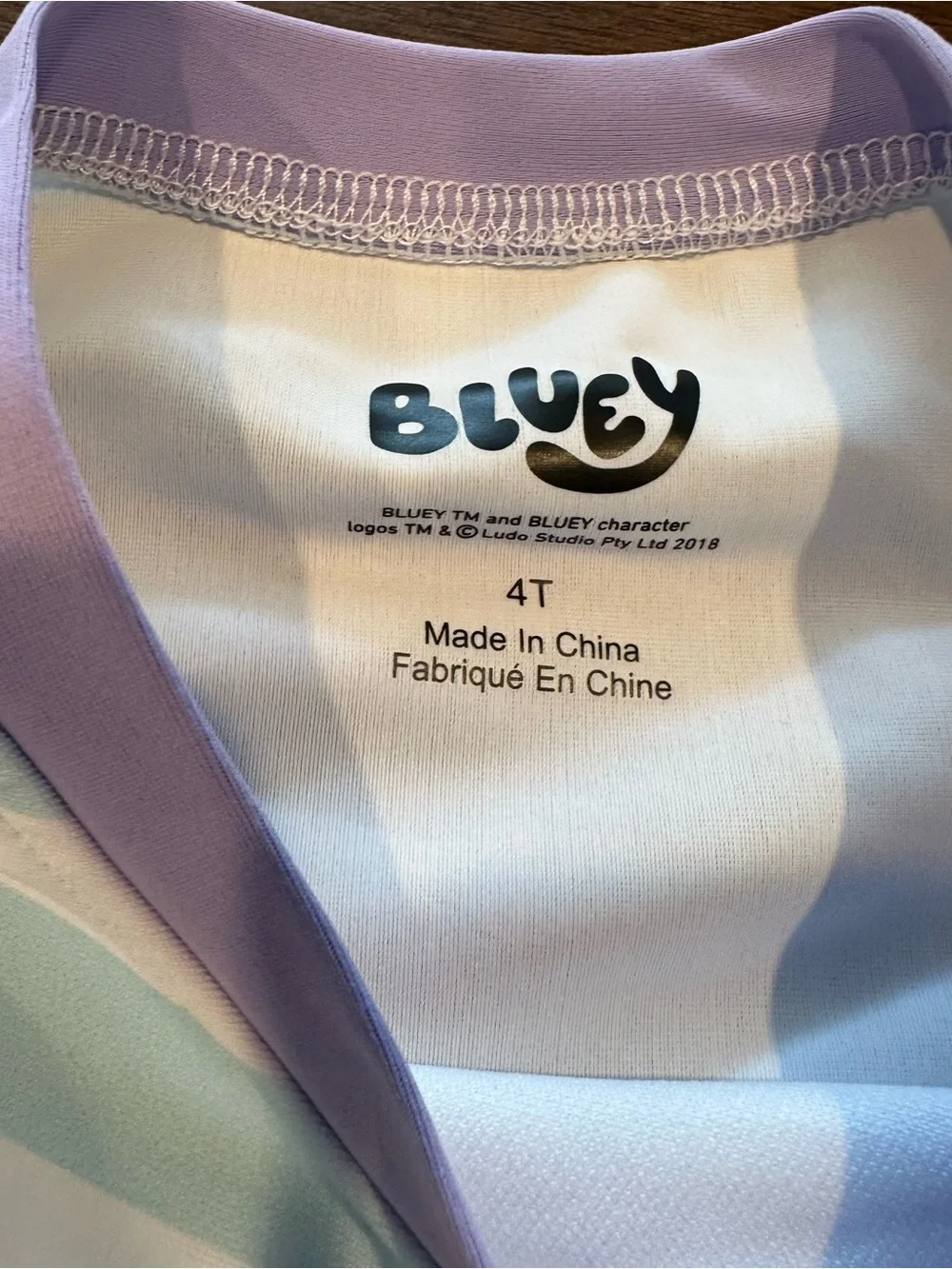 Bluey Swimsuit Girls 4T Worn One Time A5:1325